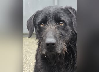 Schenkst du Naomi ein Leben, in dem sie endlich dazugehören darf?