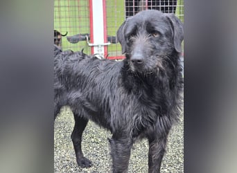 Schenkst du Naomi ein Leben, in dem sie endlich dazugehören darf?