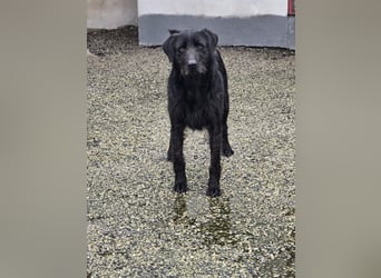 Schenkst du Naomi ein Leben, in dem sie endlich dazugehören darf?