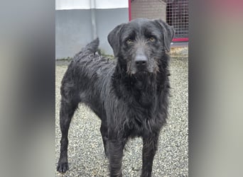 Schenkst du Naomi ein Leben, in dem sie endlich dazugehören darf?