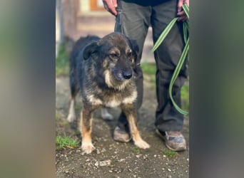 Lüba möchte gerne wieder ein Zuhause haben