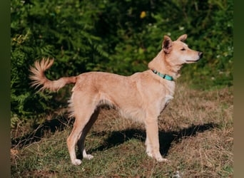 Yasmin sucht ein sportliches Zuhause