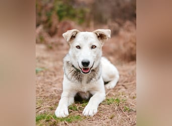 Freya wünscht sich eine Familie