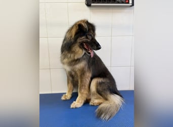 Lüba möchte gerne wieder ein Zuhause haben