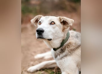 Freya wünscht sich eine Familie