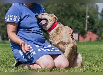 Die liebe und freundliche Zara wünscht sich schon lange ein Zuhause