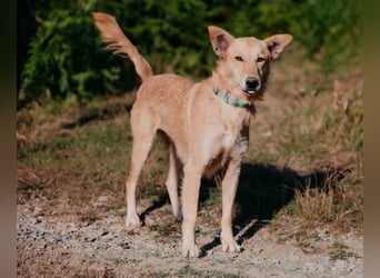 Yasmin sucht ein sportliches Zuhause