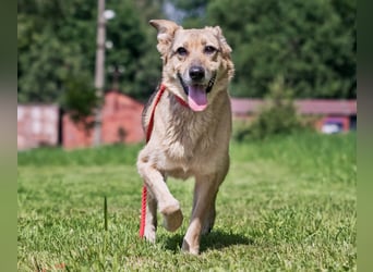 Die liebe und freundliche Zara wünscht sich schon lange ein Zuhause