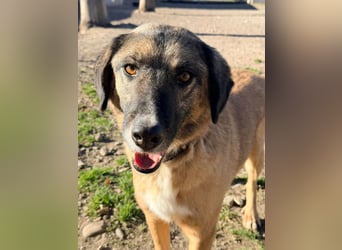 Ajax - Treue Seele sucht Dich ❤️