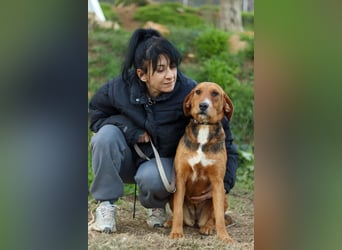 Anna Griffon-Mix Hündin sucht ihr Für-immer-Zuhause