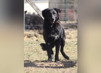 Colonia sucht ihre Menschen