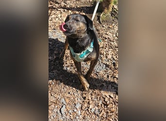 Butch sucht ein neues Zuhause