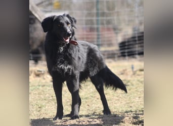 Colonia sucht ihre Menschen