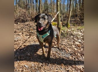 Butch sucht ein neues Zuhause