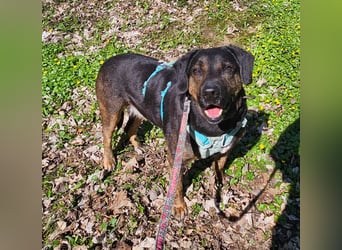 Butch sucht ein neues Zuhause