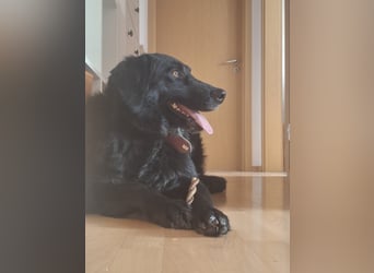 Colonia sucht ihre Menschen