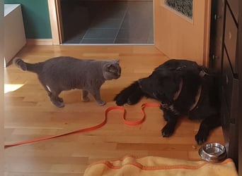 Colonia sucht ihre Menschen