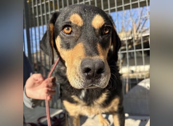 Tepp - junger, fröhlicher Bub