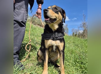 Tepp - junger, fröhlicher Bub