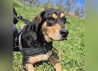 Tepp - junger, fröhlicher Bub