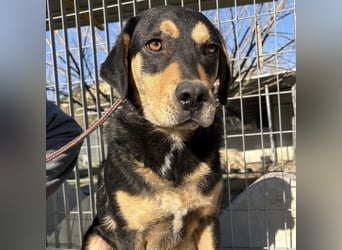 Tepp - junger, fröhlicher Bub