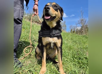 Tepp - junger, fröhlicher Bub