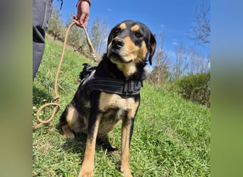 Tepp - junger, fröhlicher Bub