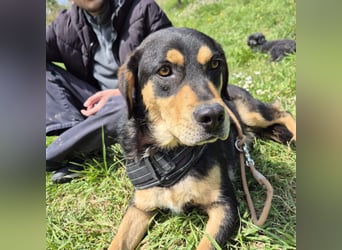 Tepp - junger, fröhlicher Bub