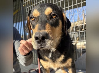 Tepp - junger, fröhlicher Bub