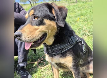 Tepp - junger, fröhlicher Bub