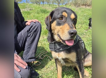 Tepp - junger, fröhlicher Bub