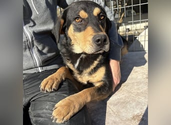 Tepp - junger, fröhlicher Bub