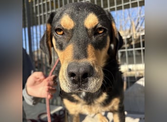 Tepp - junger, fröhlicher Bub