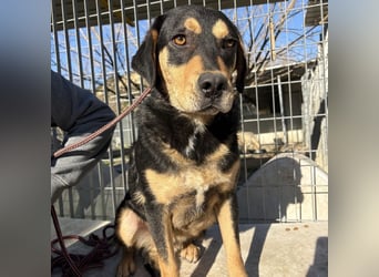 Tepp - junger, fröhlicher Bub