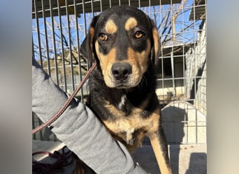 Tepp - junger, fröhlicher Bub