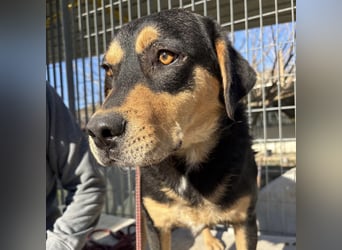 Tepp - junger, fröhlicher Bub