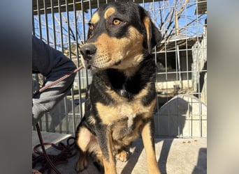 Tepp - junger, fröhlicher Bub