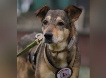 AIKA - liebenswerte Seniorin sucht ihr eigenes Zuhause
