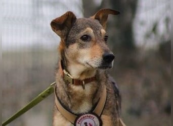 AIKA - liebenswerte Seniorin sucht ihr eigenes Zuhause