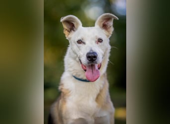 Paco - 6 Jahre Warten