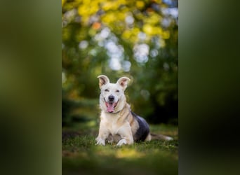 Paco - 6 Jahre Warten