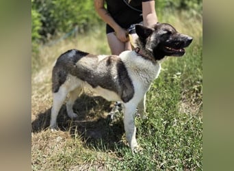 KITA wurde hilflos ausgesetzt