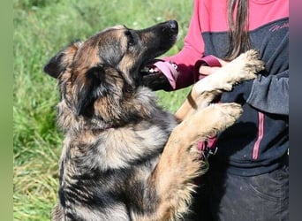 BABORKA hätte so gerne eine eigene Familie