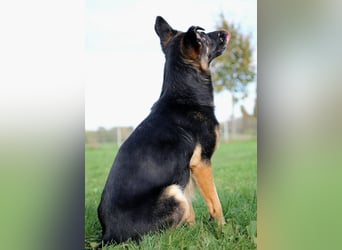 Donna, schön und sehr lieb