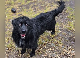 FABIO wäre gerne dein Freund