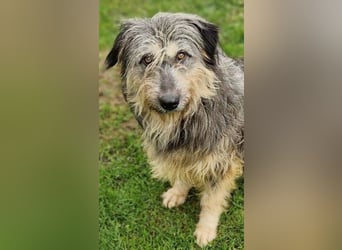 MAYA ist einfach zauberhaft