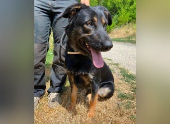 LUNA 2 wäre so gerne Familienmitglied