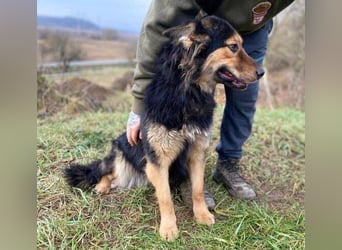 ELZA sucht ihre Familie