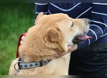 AKIM wartet auf Dich