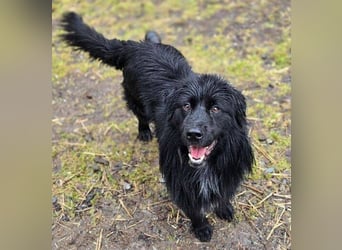 FABIO wäre gerne dein Freund